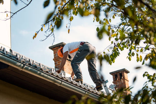 Best Slate Roofing Contractor  in Roanoke, IL