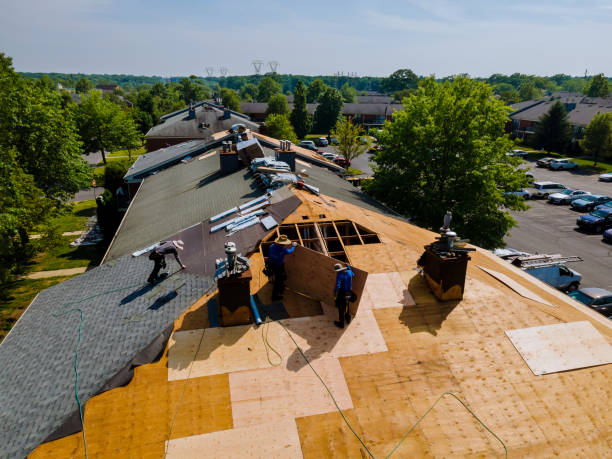 Best Roof Gutter Cleaning  in Roanoke, IL
