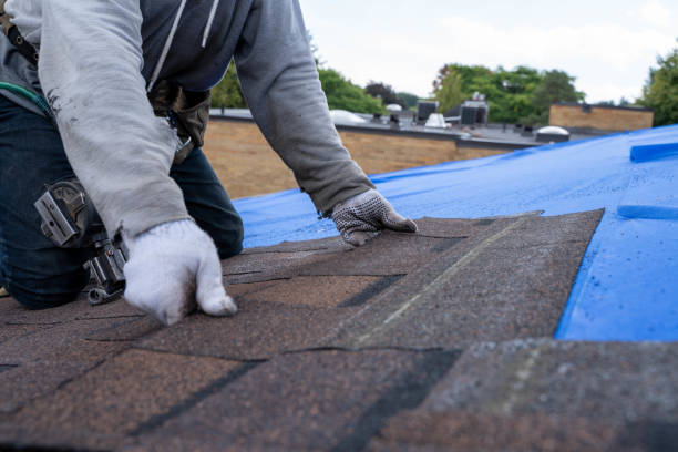 Best Roof Waterproofing Services  in Roanoke, IL