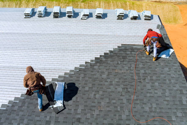 Best Storm Damage Roof Repair  in Roanoke, IL
