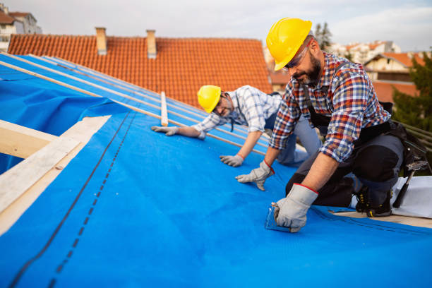 Best Affordable Roofing Company  in Roanoke, IL