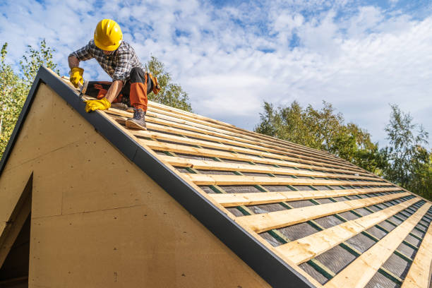 Roof Gutter Cleaning in Roanoke, IL