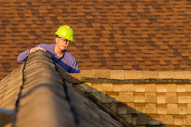 Best Roof Gutter Cleaning  in Roanoke, IL