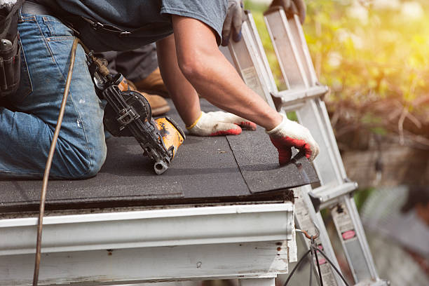 Best Roof Leak Repair  in Roanoke, IL