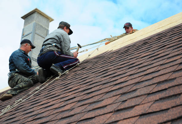 Quick and Trustworthy Emergency Roof Repair Services in Roanoke, IL