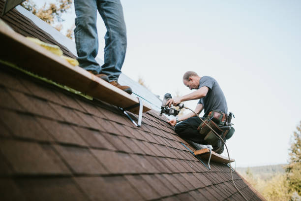 Best Gutter Installation and Roofing  in Roanoke, IL