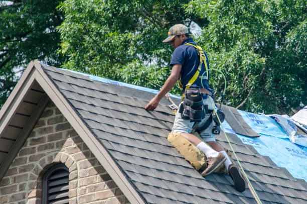 Best Roof Replacement Cost  in Roanoke, IL